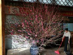 -顺德了能馆(虎门店)