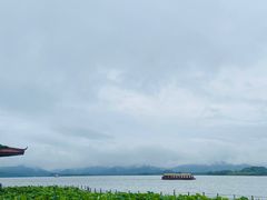 -西湖游船