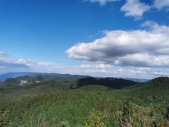 -武陵山森林公园