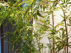 -百富源·海鲜辽菜(张士店)