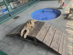 -秦皇岛野生动物园