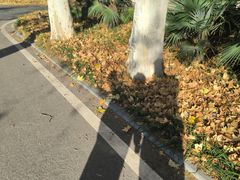 -河南省黄河迎宾馆