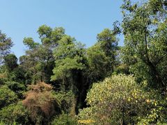 -火炉山森林公园