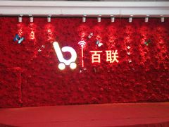 -沈阳百联购物中心(青年大街店)