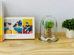 -童恩贝贝专业儿童摄影(浐灞新城4期店)