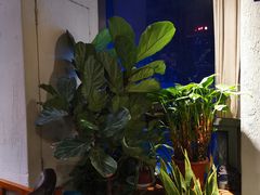 -有才叔的小馆(高新咖啡街区店)