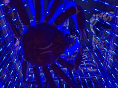 大堂-蟹之国·精品蟹料理(极地店)