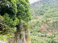 -石台牯牛降景区