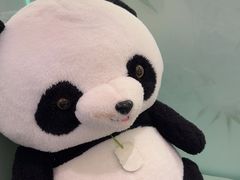 -眉州东坡·熊猫主题餐厅(枫蓝店)