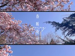 -大连中山公园