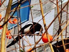 -东亿天弘演播大厅