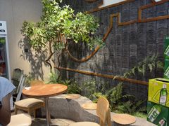 -陈三娃泡姜鸡