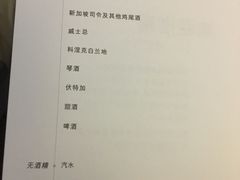 -新加坡航空公司(ION)