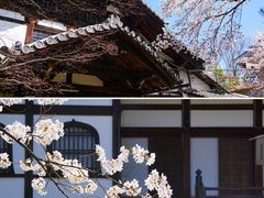 -清凉寺