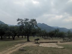 -西安秦岭野生动物园