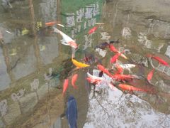 -泉乐坊步行街(烟酒特产平价超市店)