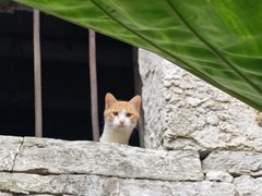 -高荡千年布依古寨旅游景区