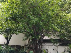 -益恒饭店乡间白族菜(古城总店)