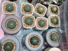 -KKV(深圳宏发大仟里店)