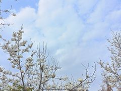 -长春观