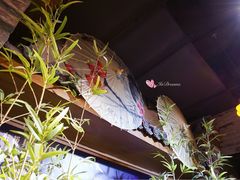 -南京时尚莱迪购物广场(正洪街店)