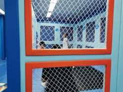 -孩子王童乐园(马群店)