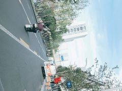 -邓氏兔头
