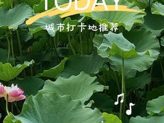 -龙头寺公园