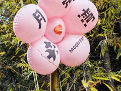 -婺源月亮湾