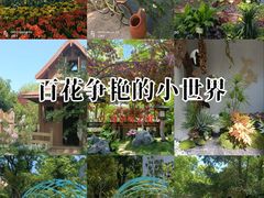-上海鲜花港