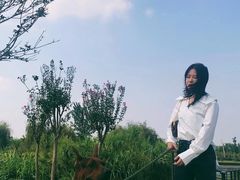 -郑东新区龙湖公共艺术中心