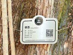 -苏州文庙(姑苏区)