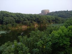 景点-月湖风景区