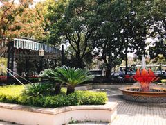 -子福慧(虹桥店)