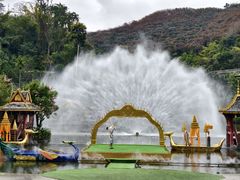 -西双版纳原始森林公园