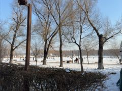 -长春市南湖公园