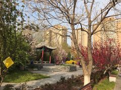-丰台花园