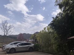 -王顺山国家森林公园