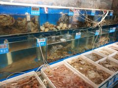 水产区-77号·蒸海鲜青岛菜(积米崖店)
