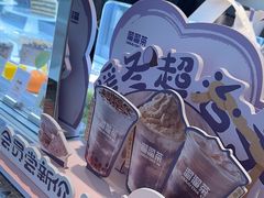 -TD66高山铁皮石斛养生茶饮