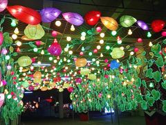 -沈阳奥体冰雪嘉年华