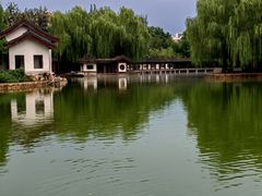 -团结湖公园