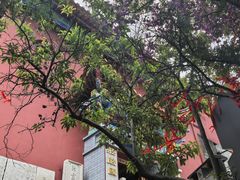 -抚仙湖禄充风景区