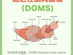 -锐动健身游泳(博地中心店)