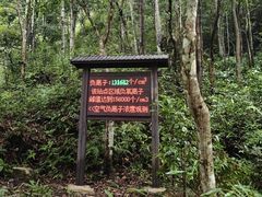 -姑婆山旅游区