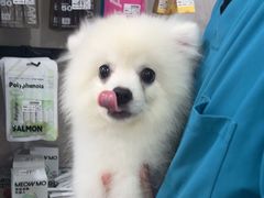 -佳雯宠物医院·皮肤科·内外科(春晓路分院)