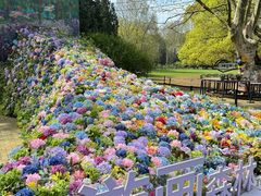 -上海共青森林公园