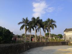 -皇思扬古围村