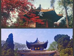 -西安碑林博物馆