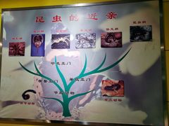 -上海昆虫博物馆